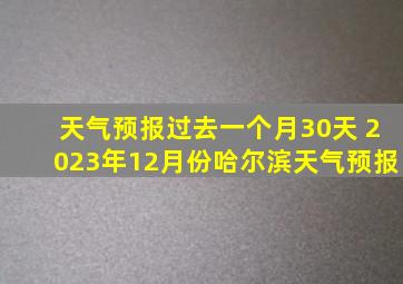 天气预报过去一个月30天 2023年12月份哈尔滨天气预报